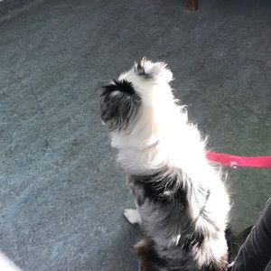 Meet your Posher, Dan